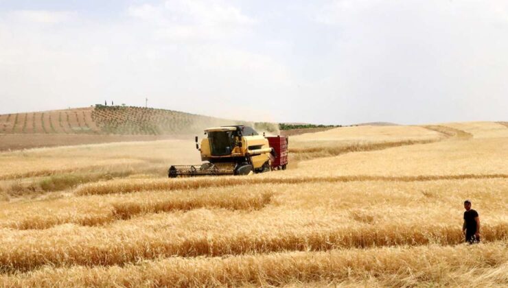 La Russia e l'Ucraina sono grandi esportatori di grano 