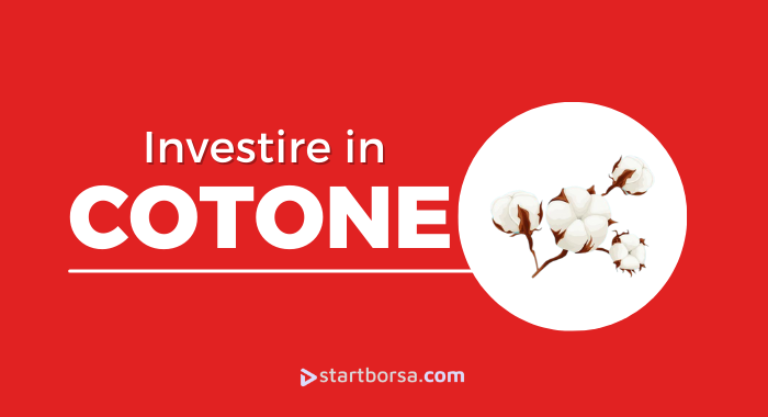 Come investire sul Cotone e quando farlo