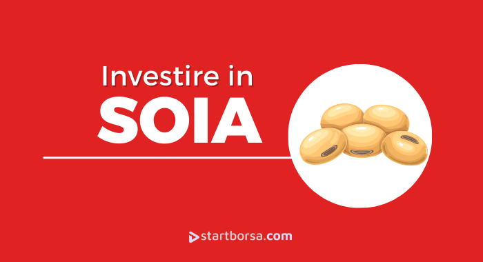 Come investire in Soia e quando farlo