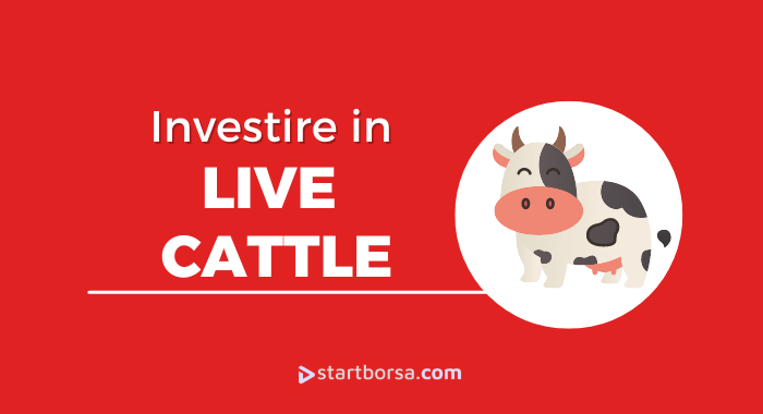 Come investire in Livecattle e quando farlo